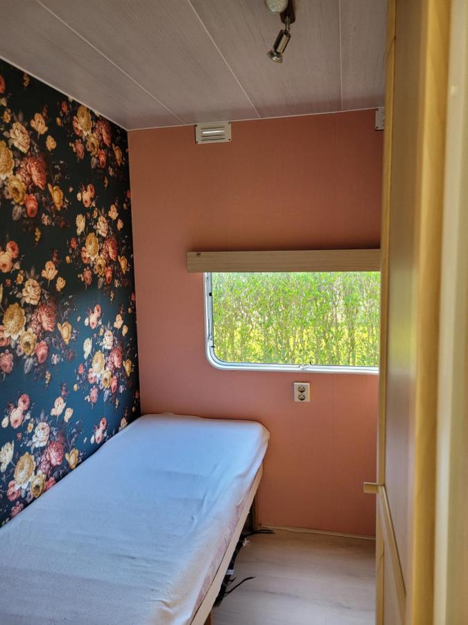 Camping De Blauwe Reiger Pieterzijl Экстерьер фото